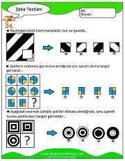 Zeka Gelişim Testleri